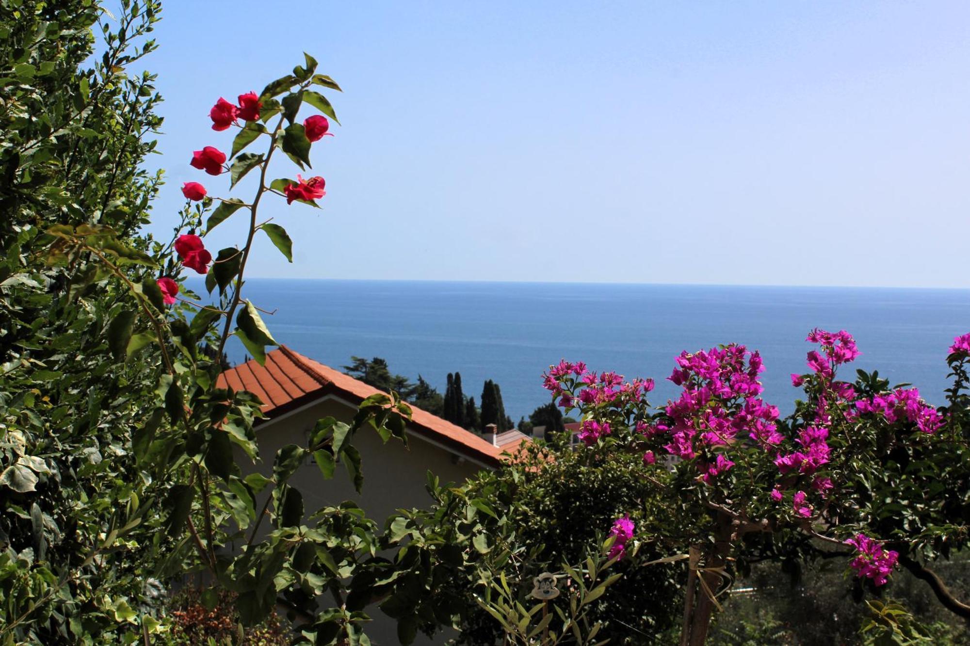 Apartments Olga Ούλτσιν Εξωτερικό φωτογραφία